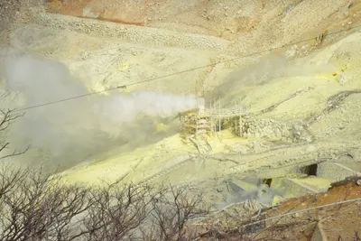 DSC_3704 (Large).JPG